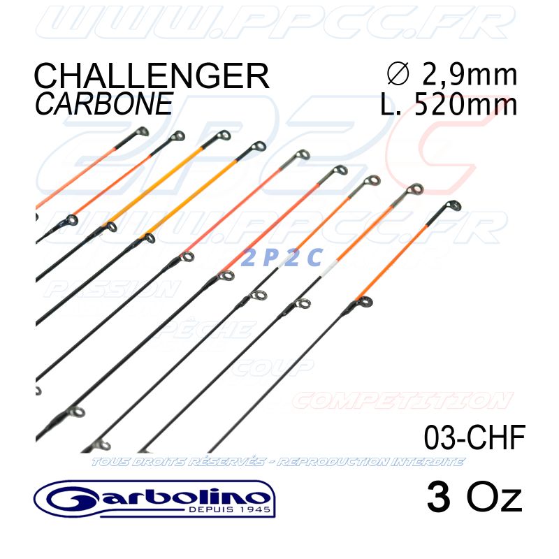 GARBOLINO - SCION PLEIN CARBON - GAMME CHALLENGER (2,9 MM)